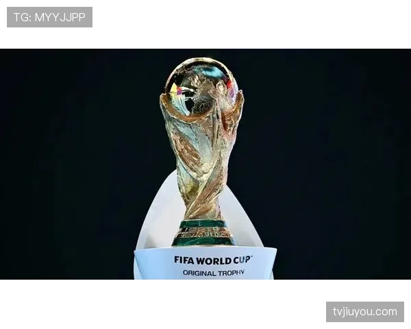 2026世界杯官方席位排序详解
